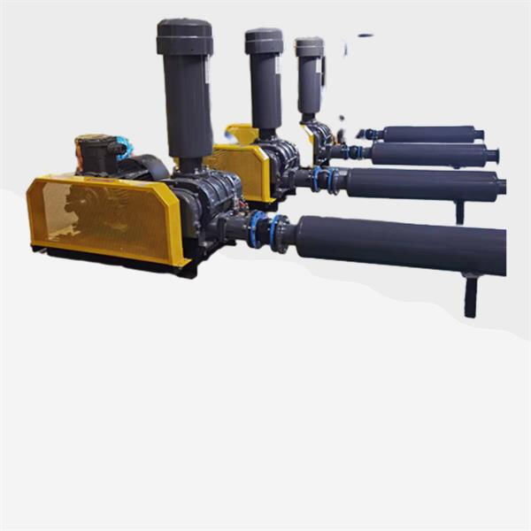 Troubleshooting common issues in powder conveying systems