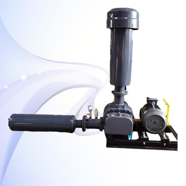 Maximizing productivity and growth rates in aquaculture through air blower technology