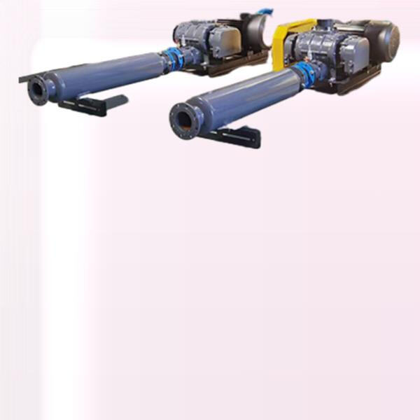 Enhance Performance and Efficiency with a Roots Booster Vacuum Pump