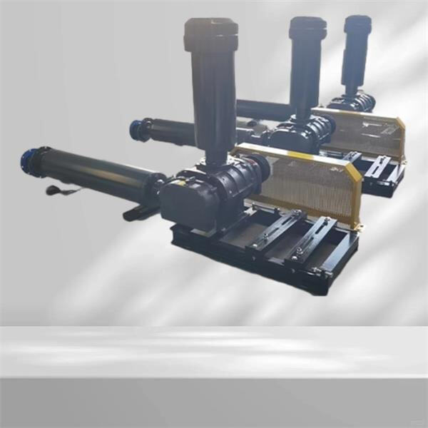 Learn about the reliable operation and low maintenance requirements of the 2 HP Roots Blower.