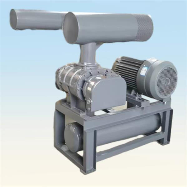Enhancing workplace safety with a dust conveying system