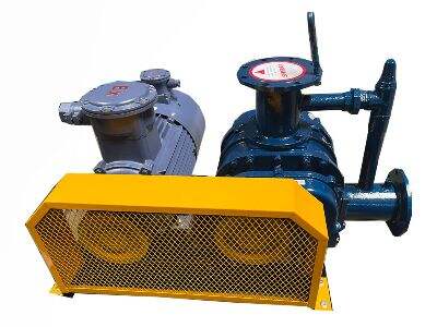 JYGSR 루츠 팬, 바이오가스 처리용: 혐기성 소화조 내 안정적인 공기 흐름 보장