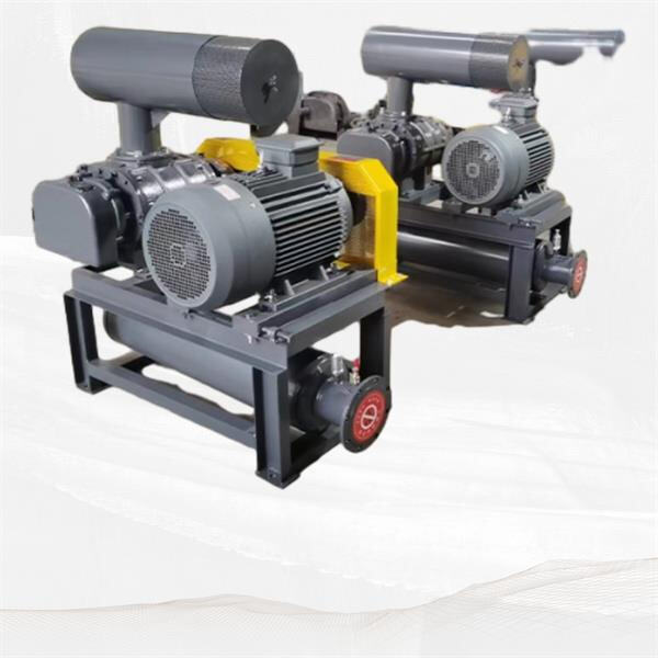 Enhancing Performance with Roots Style Blowers