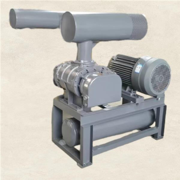 How a lean phase conveying system works