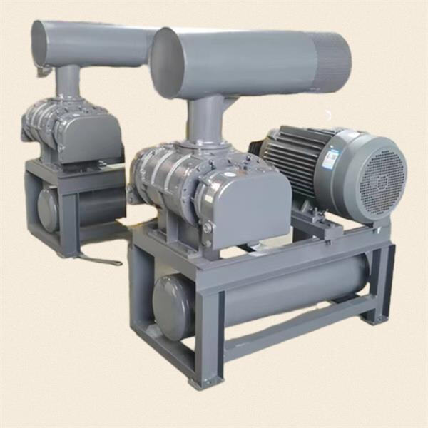 Understand the advantages of using this blower in your operations.