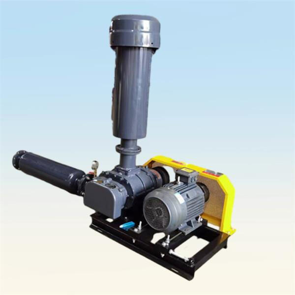 Efficiency meets power with the lobe blower machine