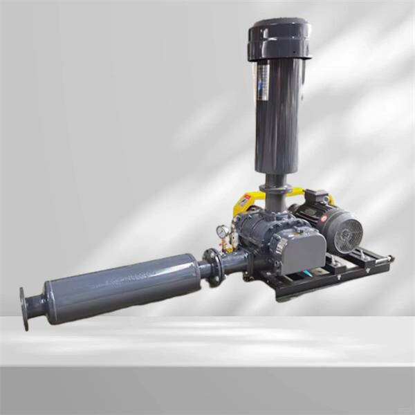 The Mechanics Behind Roots Style Blowers