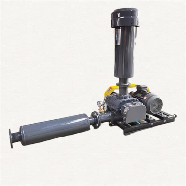 The Importance of Incorporating Air Blowers in Fish Farming Operations