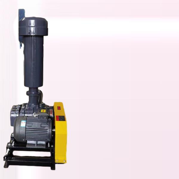Understanding the Differences Between Roots and Screw Blowers