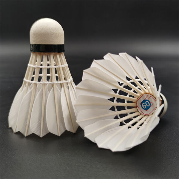 Unleash your full potential with the performance-driven design of the DMantis G60 keyboard.