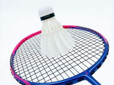 The Impact of Material Technology on Badminton Racket Performance.