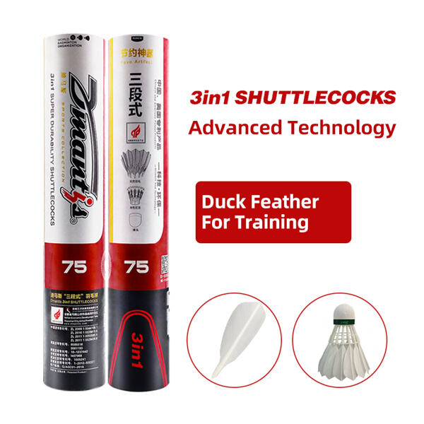 A competitive and exciting experience