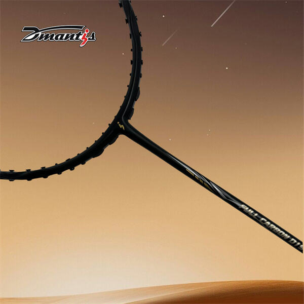 Discover the ultimate weapon for smashing and defending on the cour