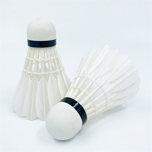 Building Endurance and Agility for Badminton D5 Doubles Play