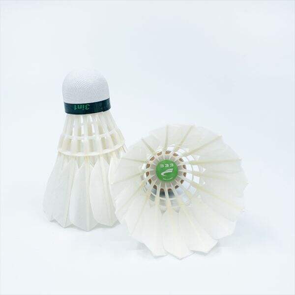 Honing your skills with the racket and shuttlecock