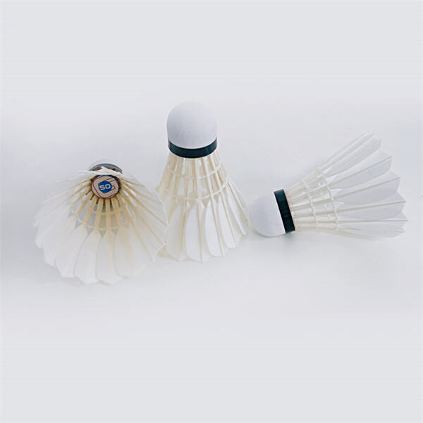 Excellent value for a premium shuttlecock experience