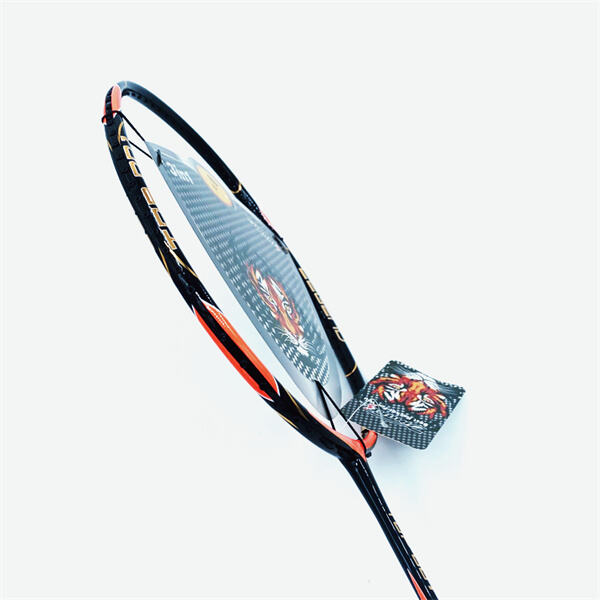 The Dmantis 001 is the perfect racket for any player