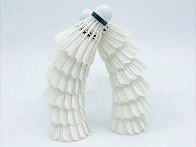 Global procurement trends for tournament grade badminton shuttlecocks