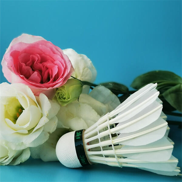 The aerodynamics of a shuttlecock in motion