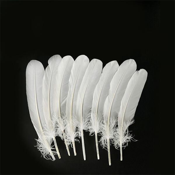The debate over badminton shuttlecocks