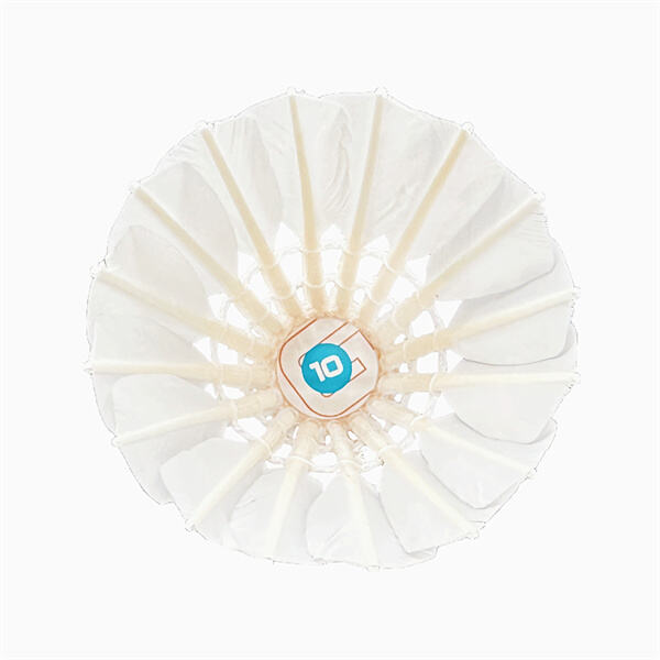 Advanced Materials for Long-Lasting Playability