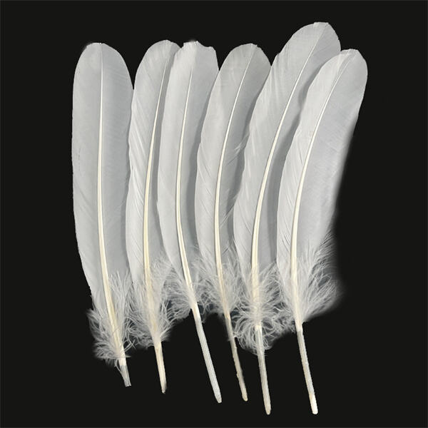 Tips and tricks for mastering the art of hitting a feather shuttlecock