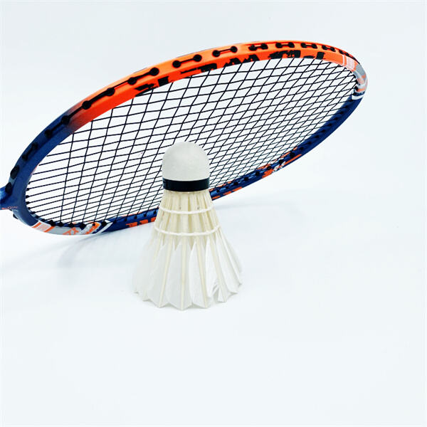 Dmantix D9 Racket for Players of All Levels