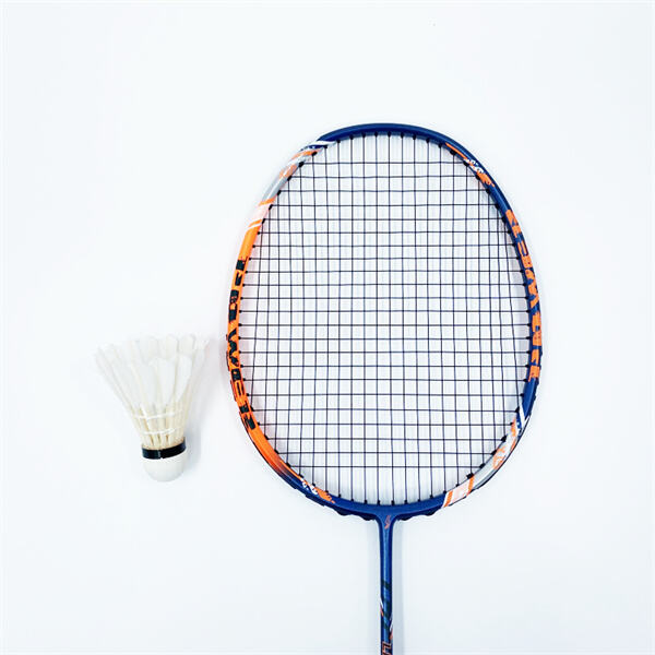 The Dmantix D9 Racket for Badminton Enthusiasts