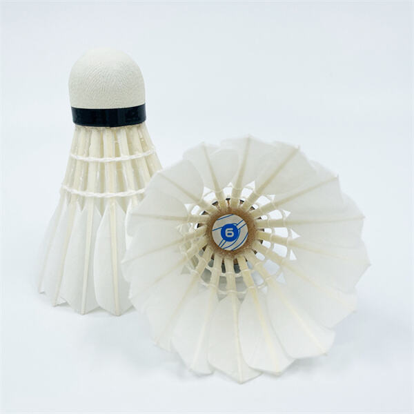 Master your roll with precision and style using Dmantis D6