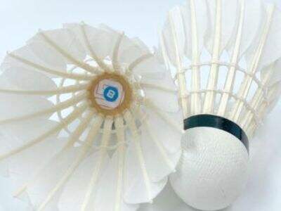 Are You Seeking a Badminton Shuttlecock Supplier for Reliable Bulk Shipments?