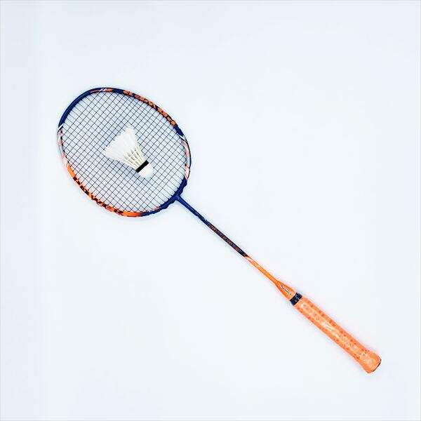 A beginner's guide to shuttle racket techniques