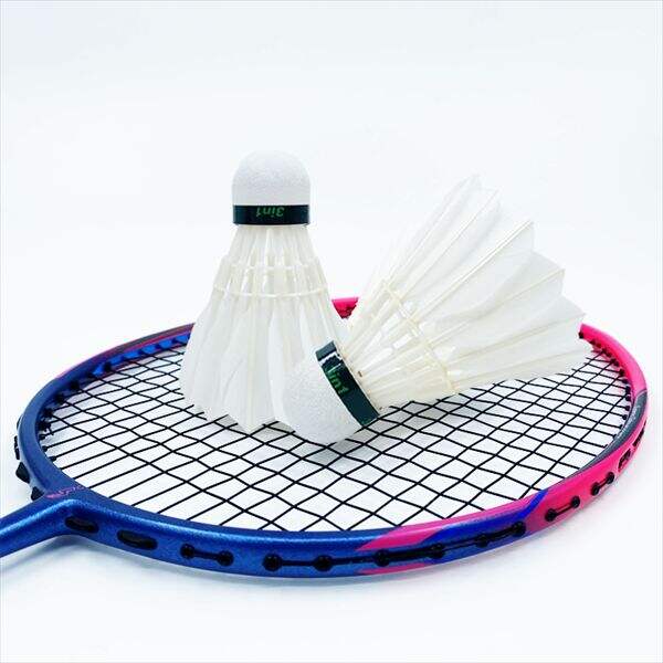 A fun way to stay active and fit