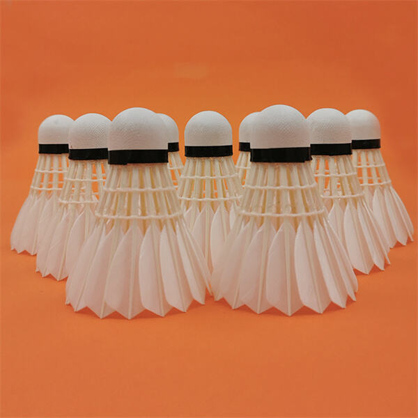 The Road to Victory in Badminton Tournaments