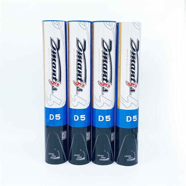 Strategies for Dominating the Court in Badminton D5 Singles Matches