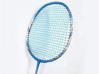 Analyzing seasonal badminton equipment demand trends in Asian markets