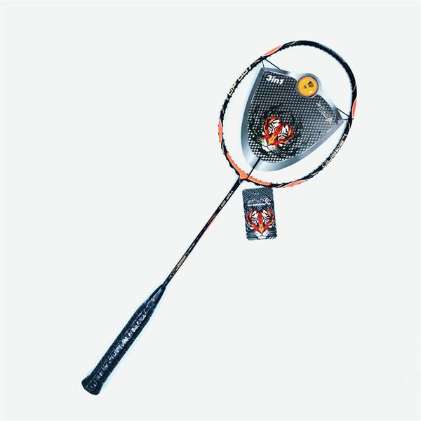 Take your badminton skills to the next level with the Dmantis 001 Racke
