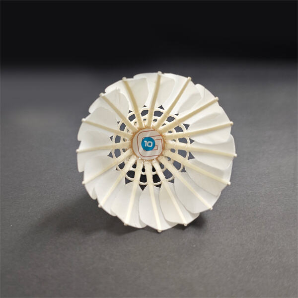 Unleash your inner outdoorsman with the rugged DMantis G10