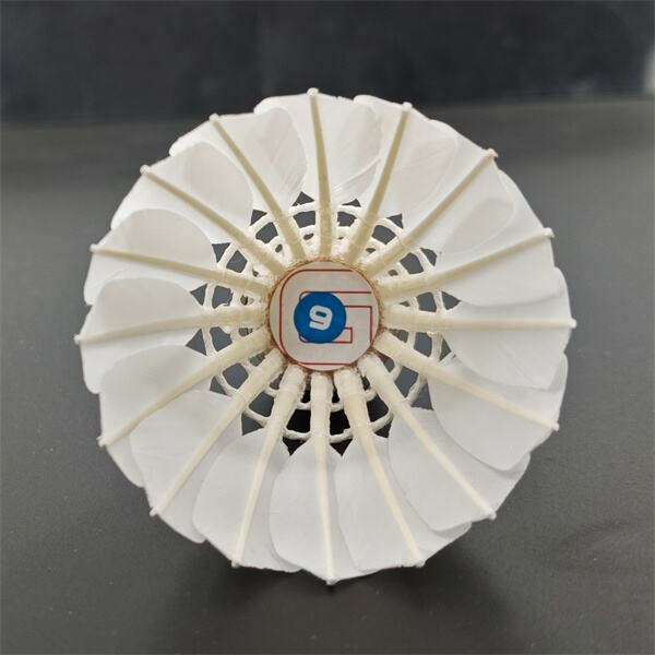 Fast Shipping and Reliable Delivery