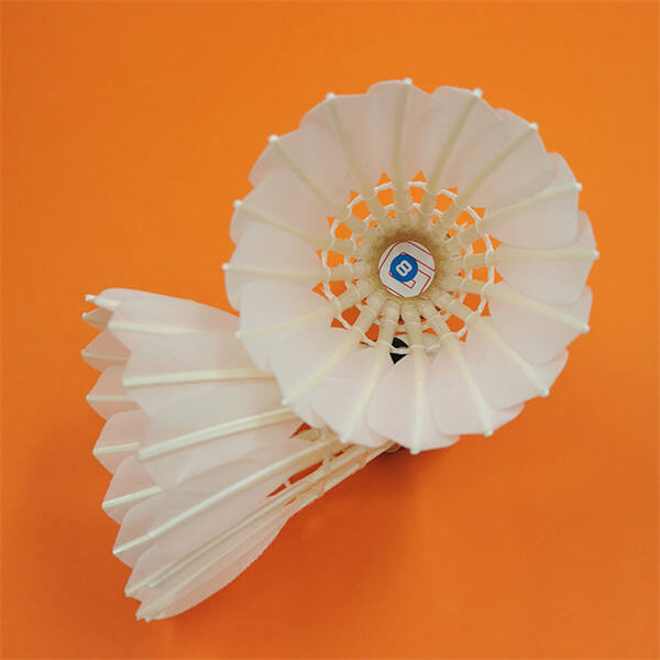 Which Ones Reign Supreme?