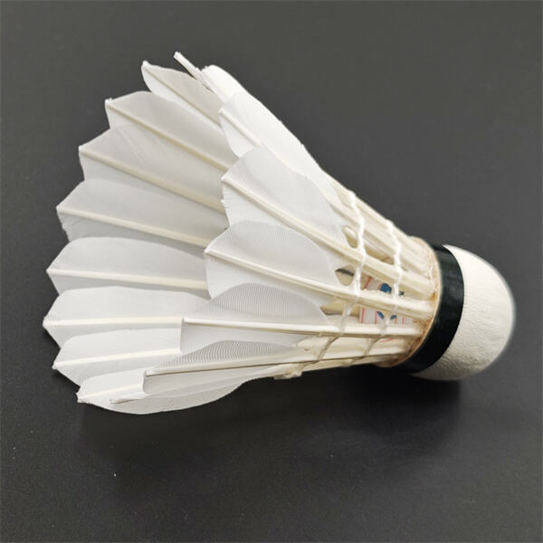 Cutting-Edge Technology and Innovation for Wholesale Purchasers