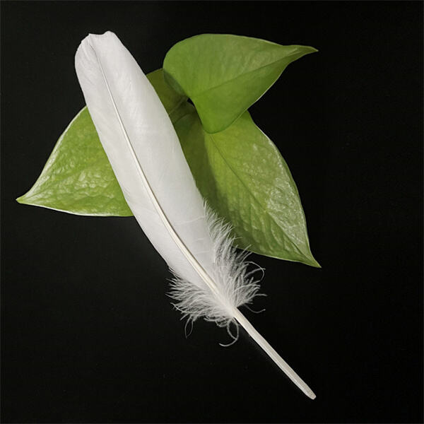 The science behind the flight of a feather shuttlecock