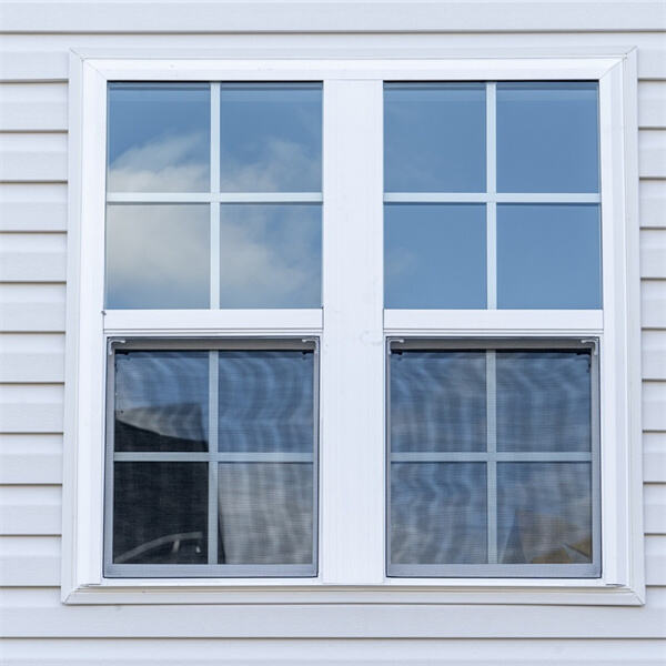 Elegant and Budget-Friendly Vinyl Window Options