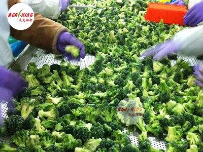 Building Reliable Global Supply Chains for Frozen Foods