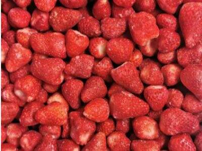 What Makes a Leading Chinese IQF Supplier Stand Out?