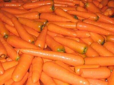 Fresh & Flavorful: Sourcing Top-Tier Vegetables Year-Round