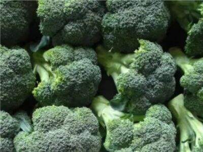 Your Gateway to Premium Frozen & Fresh Produce from China