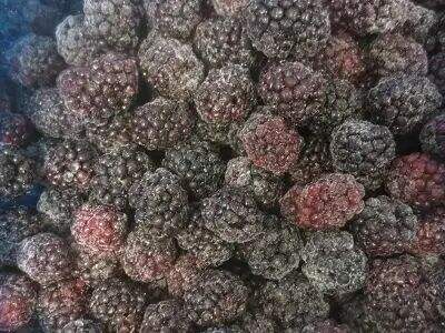 Comparación de los beneficios de las frutas congeladas y frescas