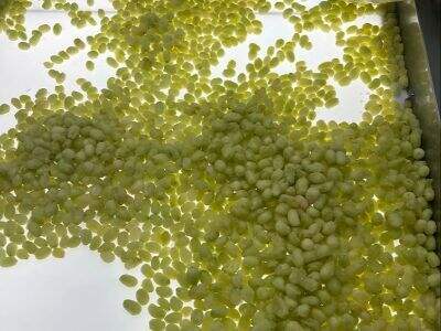 The Power of HACCP & BRC in Food Ingredient Safety