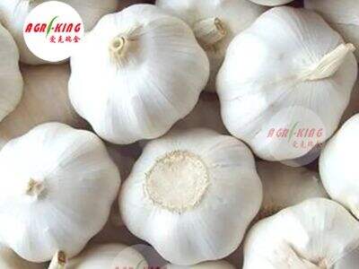 Beyond Price: Achieving True Value in Food Sourcing