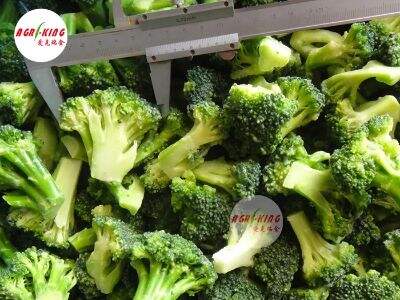 Cost Control Without Quality Compromise: A Sourcing Guide